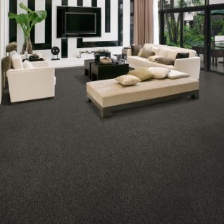 Carpetes e Forrações