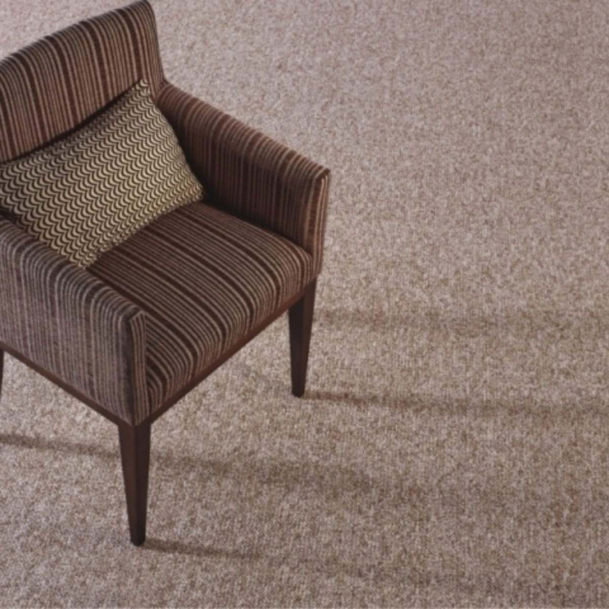 Carpetes e Forrações